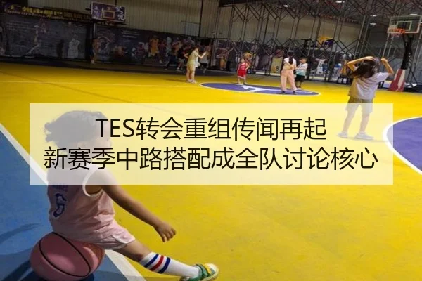 TES转会重组传闻再起 新赛季中路搭配成全队讨论核心